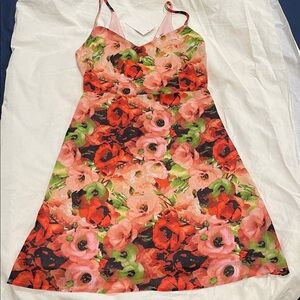 BB Dakota Pink & Red Floral Slip Mini Dress